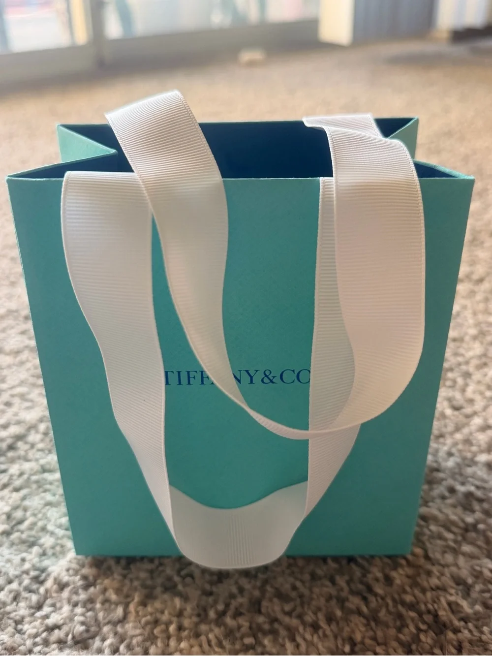 Authentic Tiffany & Co. Robin's-Egg Blue Gift Bag with White Ribbon Handles